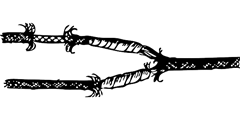 wire-33134_640